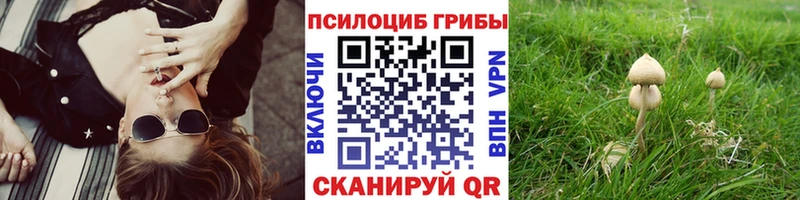 Галлюциногенные грибы ЛСД  Сосенский 